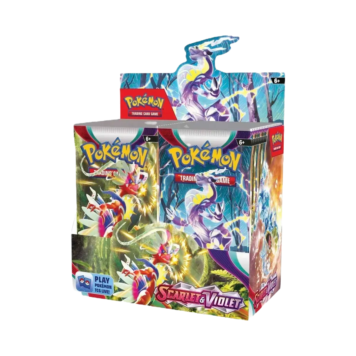 Pokémon TCG - Scarlet & Violet Base Set Booster Box Display