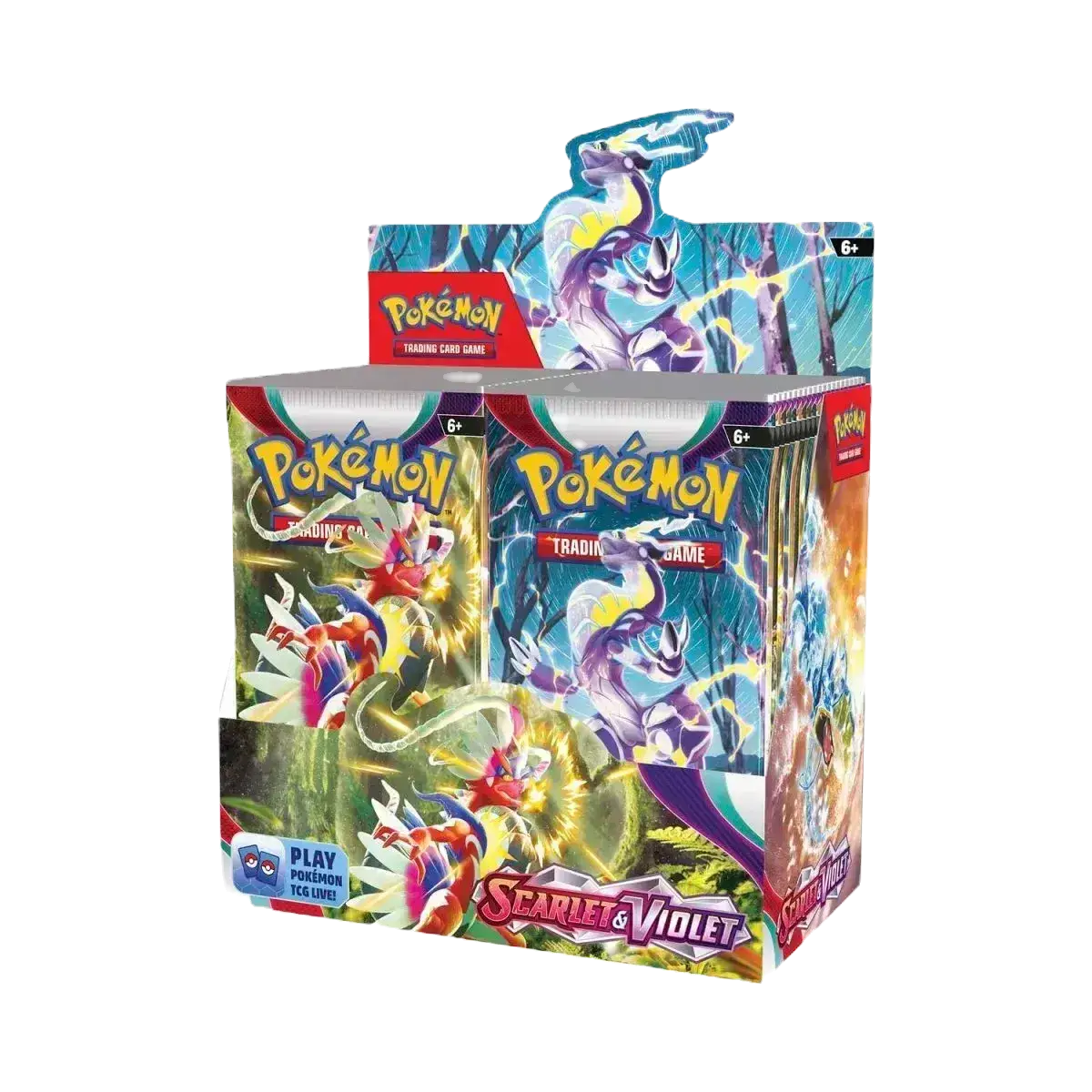 Pokémon TCG - Scarlet & Violet Base Set Booster Box Display