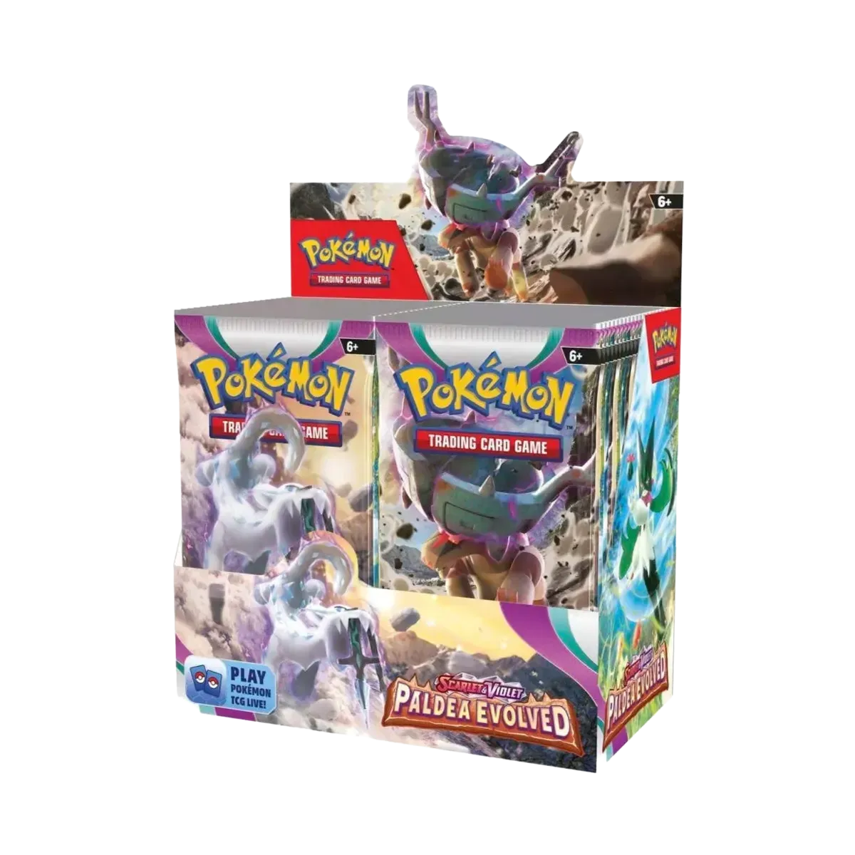 Pokémon TCG - Scarlet & Violet: Paldea Evolved Booster Box Display