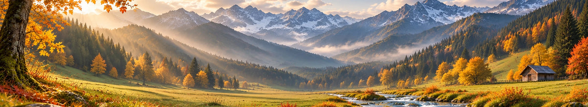 Pokémon Karten kaufen Schweiz online bei Laschocarrds - Herbst Banner wide Desktop