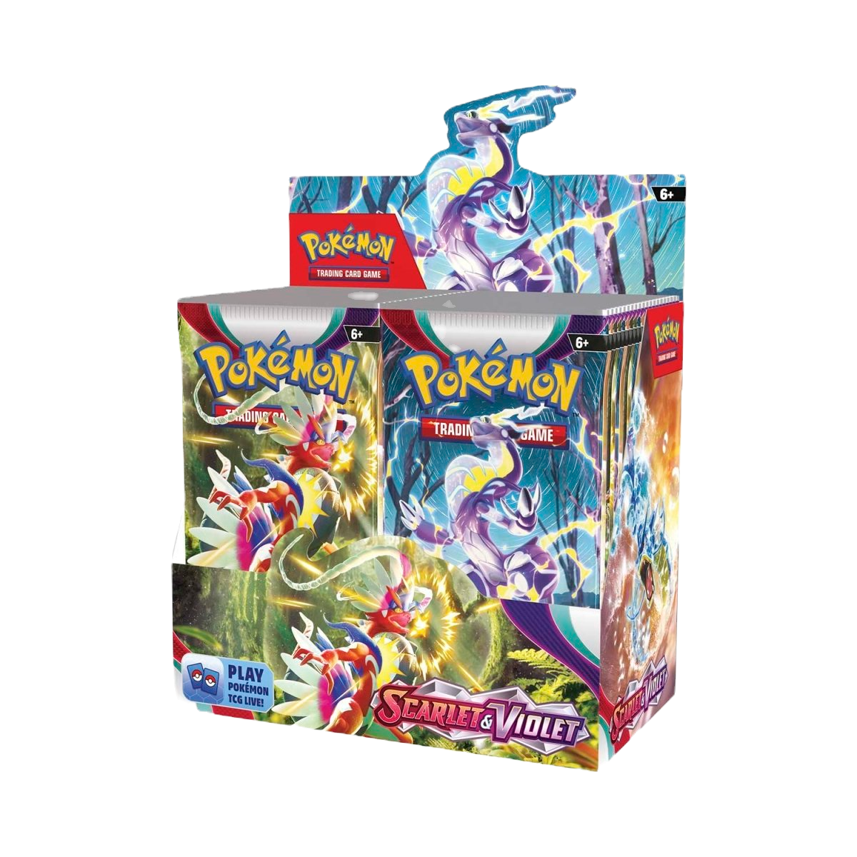 Pokémon TCG - Scarlet & Violet Base Set Booster Box Display