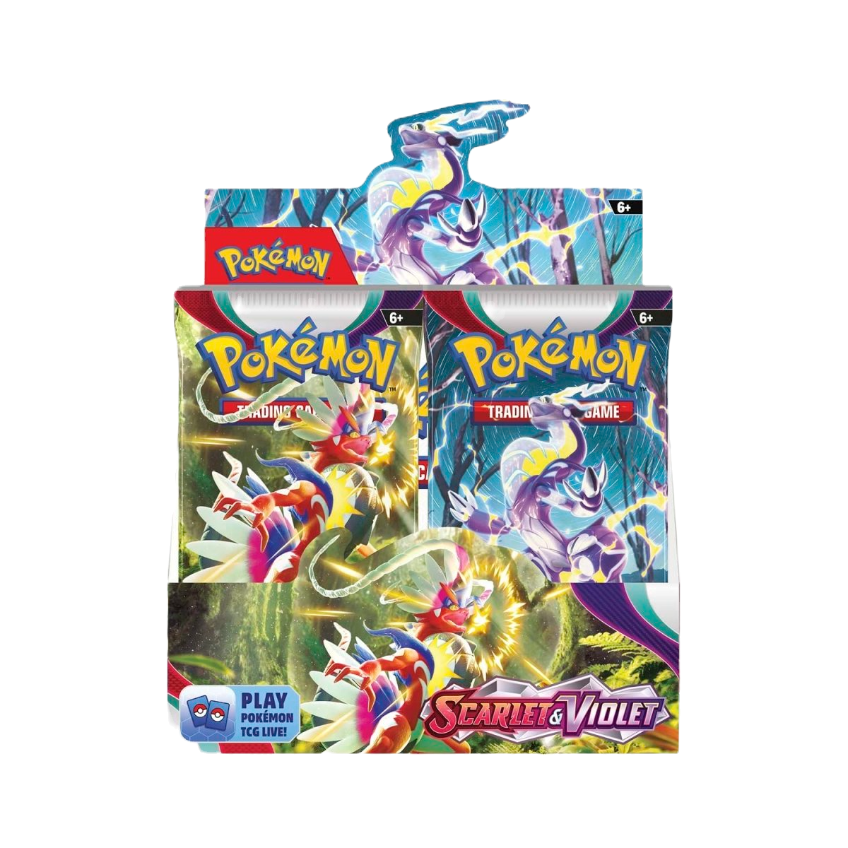 Pokémon TCG - Scarlet & Violet Base Set Booster Box Display